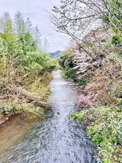 アパート 宮加三麻雀泊歓迎みかんハウスyugawarahakoneatamiアパートメント