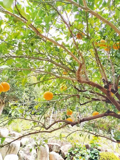 宮加三麻雀泊歓迎みかんハウスyugawarahakoneatamiアパートメント 宮加三